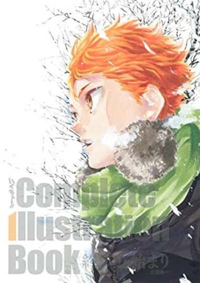 Haikyu : complete illustration book