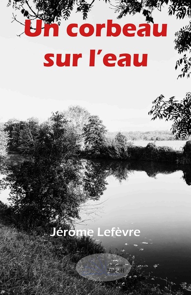 Un corbeau sur l'eau