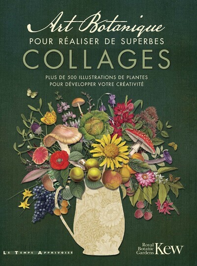 Art Botanique pour réaliser de superbes collages - plus de 500 illustrations des plantes pour développer votre créativité