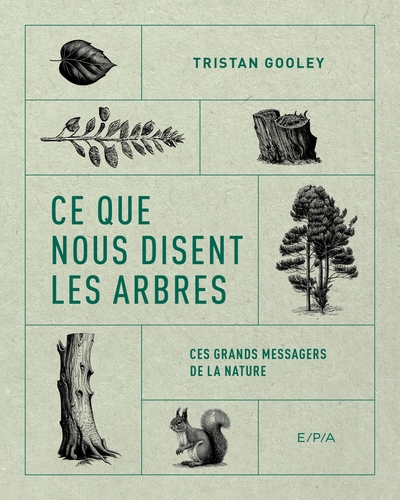 Ce que nous disent les arbres