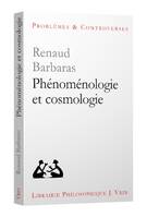 Phénoménologie et cosmologie