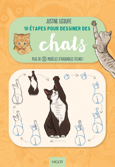 10 étapes pour dessiner des chats