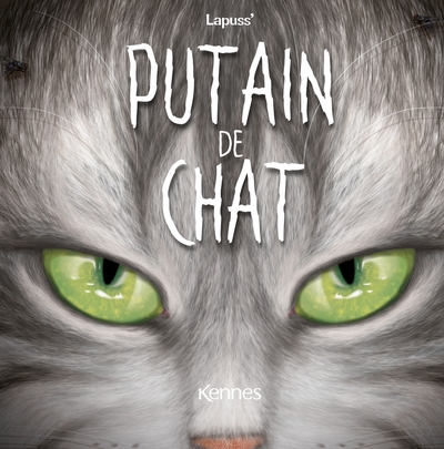 Putain de chat Volume 11