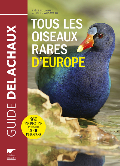 Tous les oiseaux rares d'Europe - Aurélien Audevard