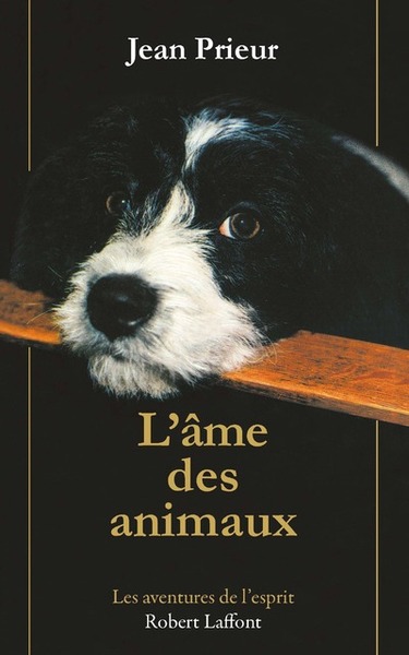 L'Âme Des Animaux - Ne