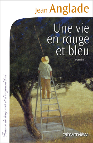 Une Vie En Rouge Et Bleu, Roman