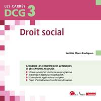 DCG 3 - Droit social