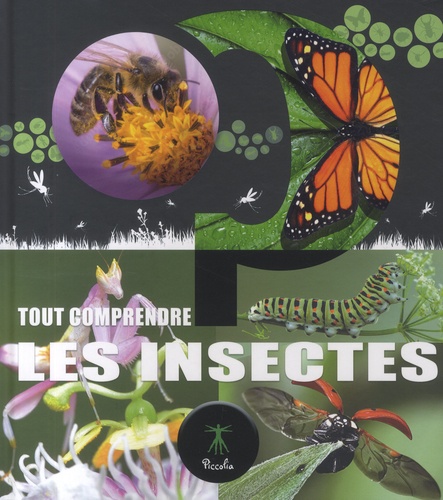 Les insectes - Tout comprendre