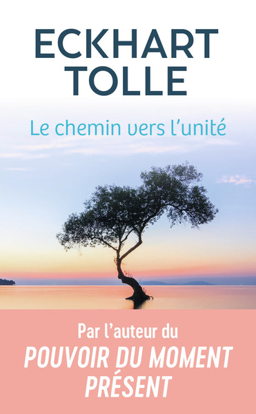 Le Chemin Vers L'Unité