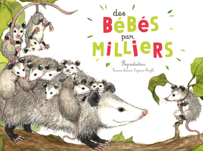 Des bébés par milliers - Françoise Laurent