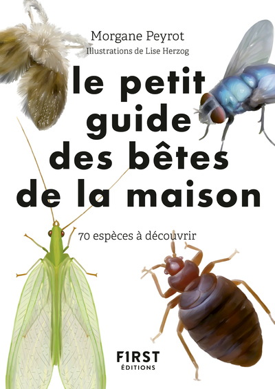 Petit guide d'observation des petites bêtes de la maison - Morgane Peyrot