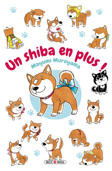 1 - Un shiba en plus