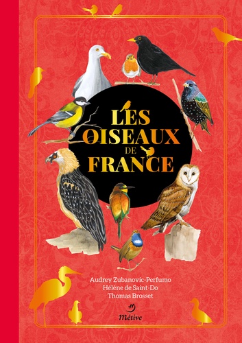 Les oiseaux de France - Audrey Zubanovic-Perfumo,Thomas Brosset