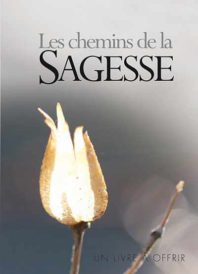 Les chemins de la sagesse / grand format