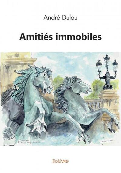 Amitiés immobiles