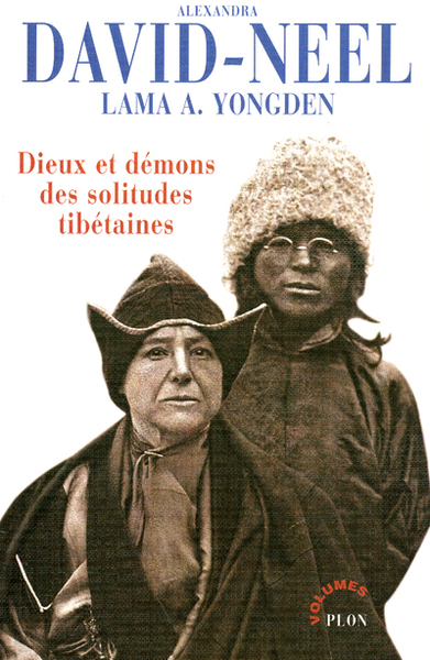 Dieux Et Démons Des Solitudes Tibétaines