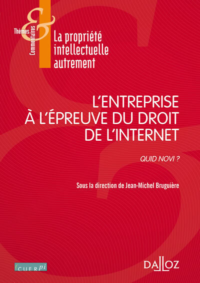 L'entreprise à l'épreuve du droit de l'Internet - 1re ed.