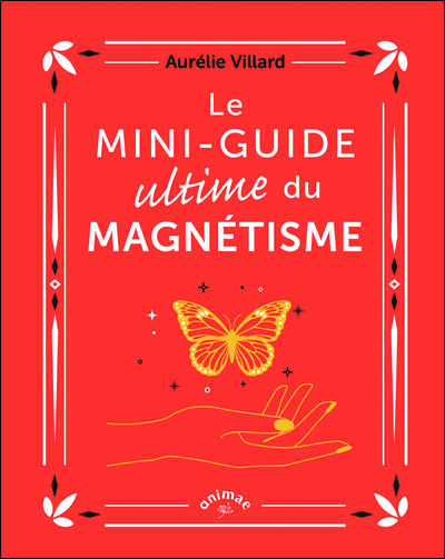 Le Mini-guide ultime du magnétisme