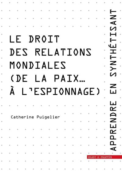 Apprendre en synthétisant - Volume 6 - Catherine Puigelier