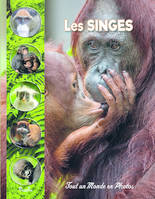 Les singes - Collectif