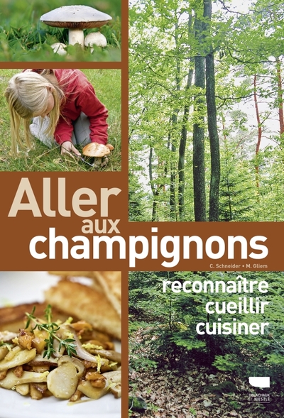 Aller aux champignons