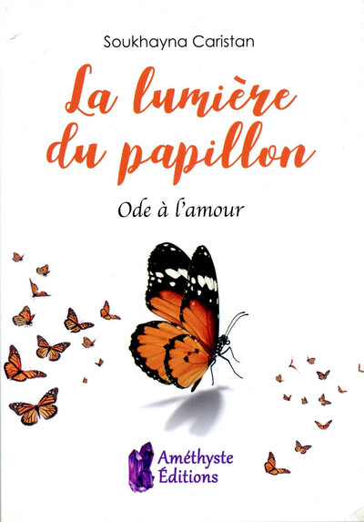 La lumière du papillon