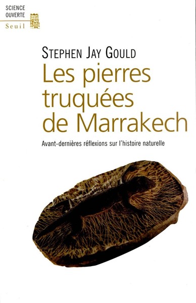 Les Pierres Truquées De Marrakech, Avant-Dernières Réflexions Sur L'Histoire Naturelle