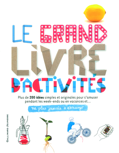 Le grand livre d'activités