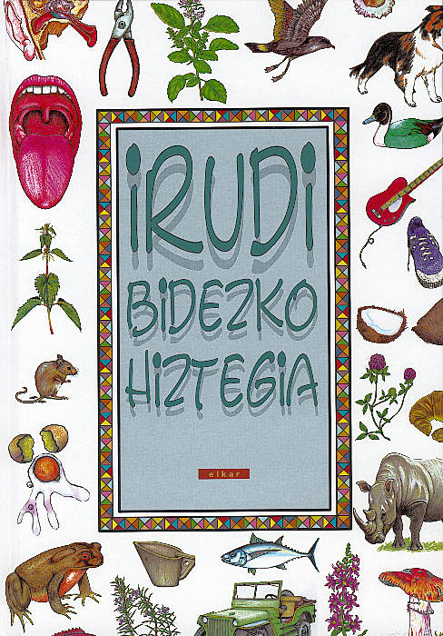 Irudi Bidezko Hiztegia