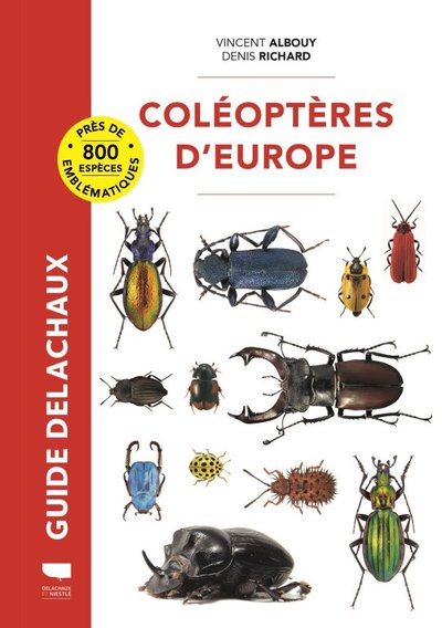 Coléoptères D'Europe - Vincent Albouy, Denis Richard