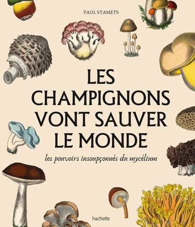 Les Champignons Vont Sauver Le Monde, Les Pouvoirs Insoupçonnés Du Mycelium