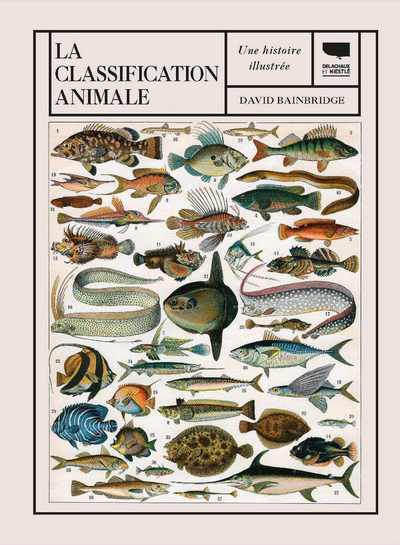 La classification animale - David Bainbridge