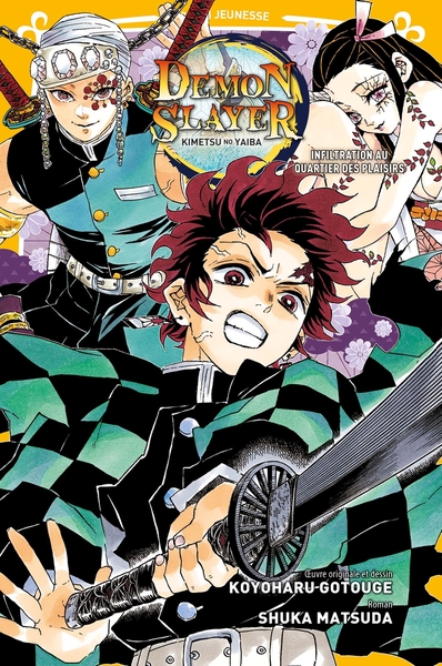 Demon Slayer Roman Volume 4