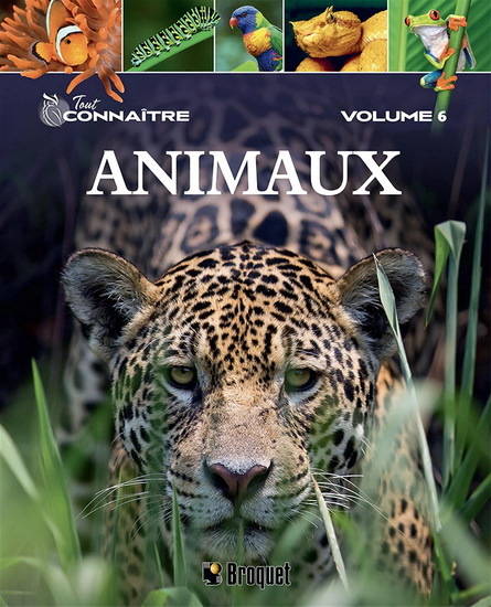 Tout Connaitre. Les Animaux