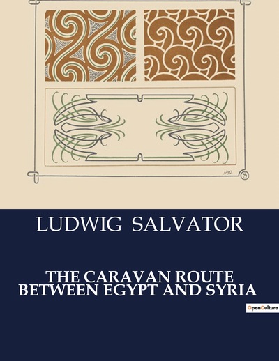 The Caravan Route Between Egypt And Syria