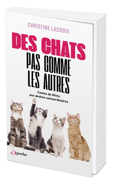 Des chats pas comme les autres - Christine Lacroix