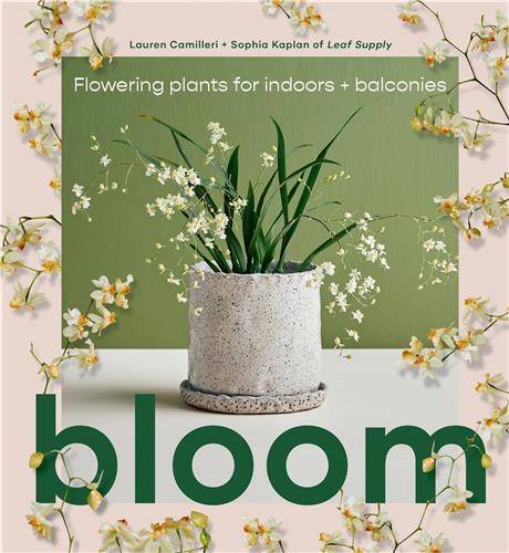 Bloom: Flowering plants for indoors and balconies /anglais - Smith Street