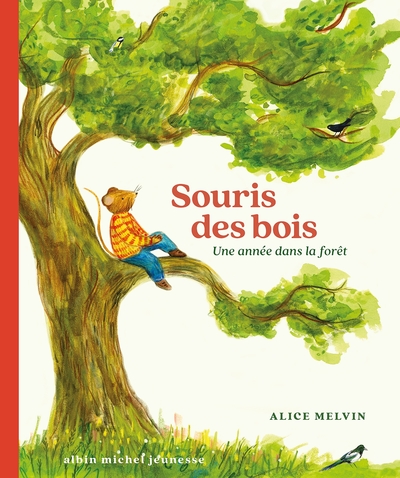 Souris des bois - Une année dans la forêt