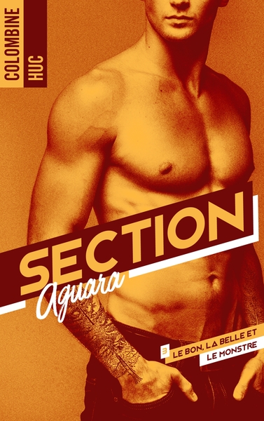 Section Aguara Volume 3