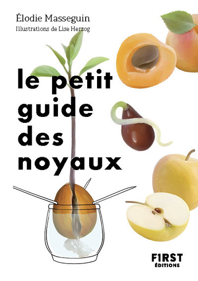 Le Petit Guide des noyaux - Élodie Masseguin