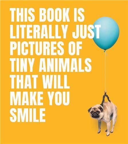 This Book Is Literally Just Pictures of Tiny Animals That Will Make You Smile /anglais