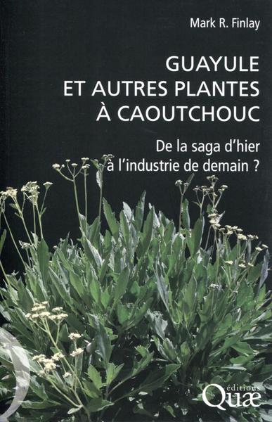 Guayule Et Autres Plantes À Caoutchouc, De La Saga D'Hier À L'Industrie De Demain ?