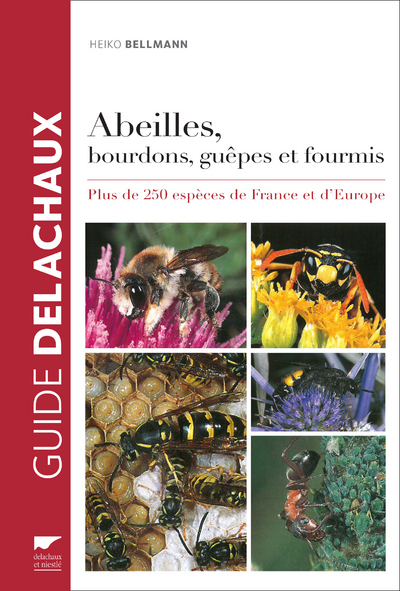 Abeilles, Bourdons, Guêpes Et Fourmis, Plus De 250 Espèces De France Et D'Europe