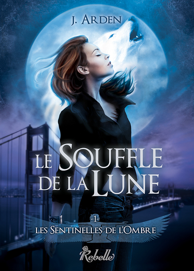 Les sentinelles de l'ombre Volume 1