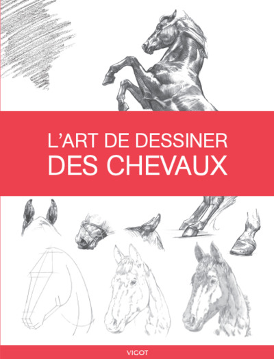 L'Art De Dessiner Des Chevaux