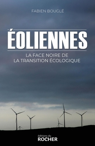 Éoliennes : la face noire de la transition écologique