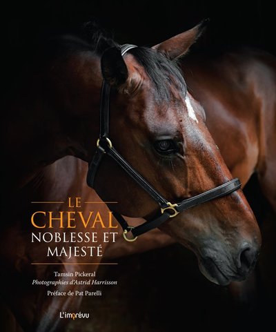 Le cheval, noblesse et majesté