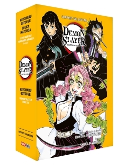 Demon Slayer Coffret en 2 volumes Volume 12