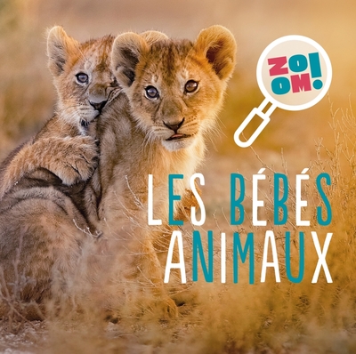 Les bébés animaux