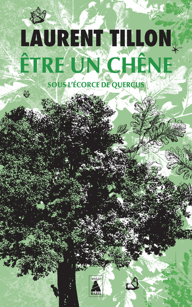 Être un chêne